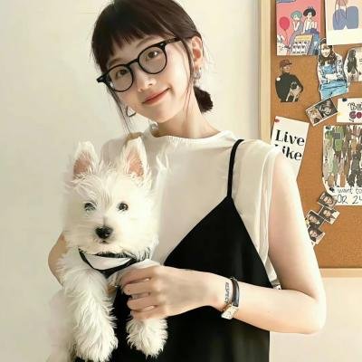 如果这些墙会歌唱